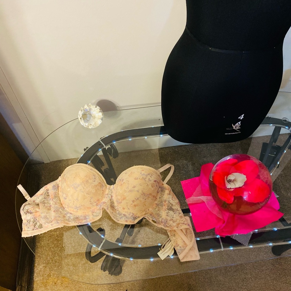Jessica Simpson Beige Floral Lace Lingerie